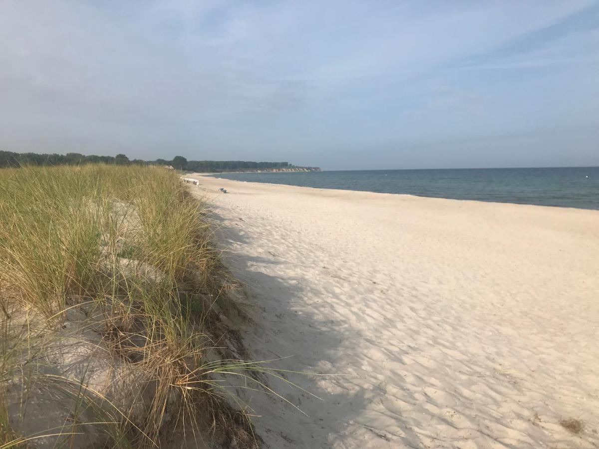 Top Ferienwohnung In Rerik - Nahe Salzhaff & Ostsee - Mit Gartenterrasse Eksteriør bilde
