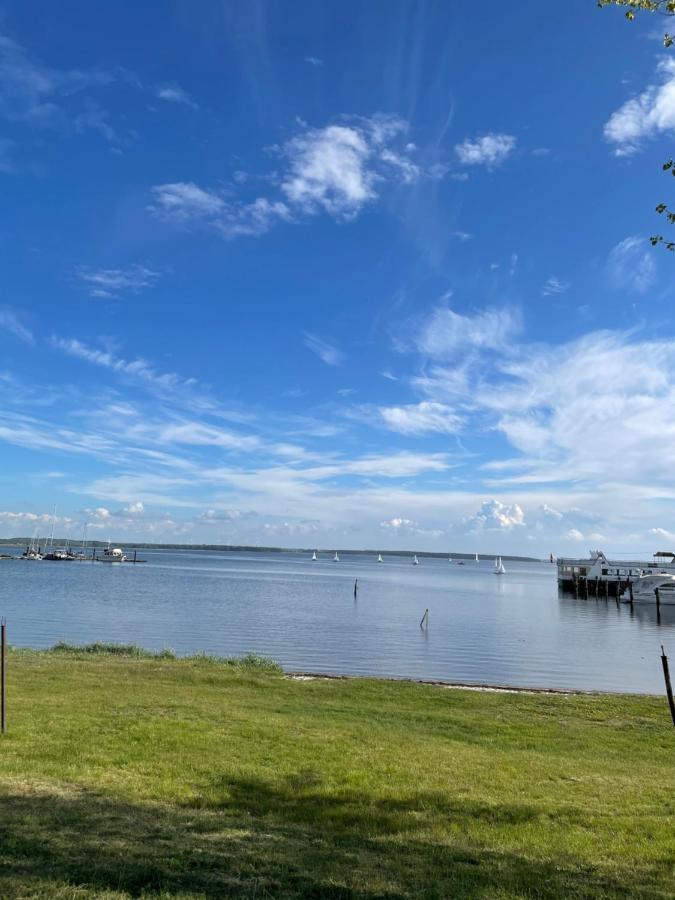 Top Ferienwohnung In Rerik - Nahe Salzhaff & Ostsee - Mit Gartenterrasse Eksteriør bilde
