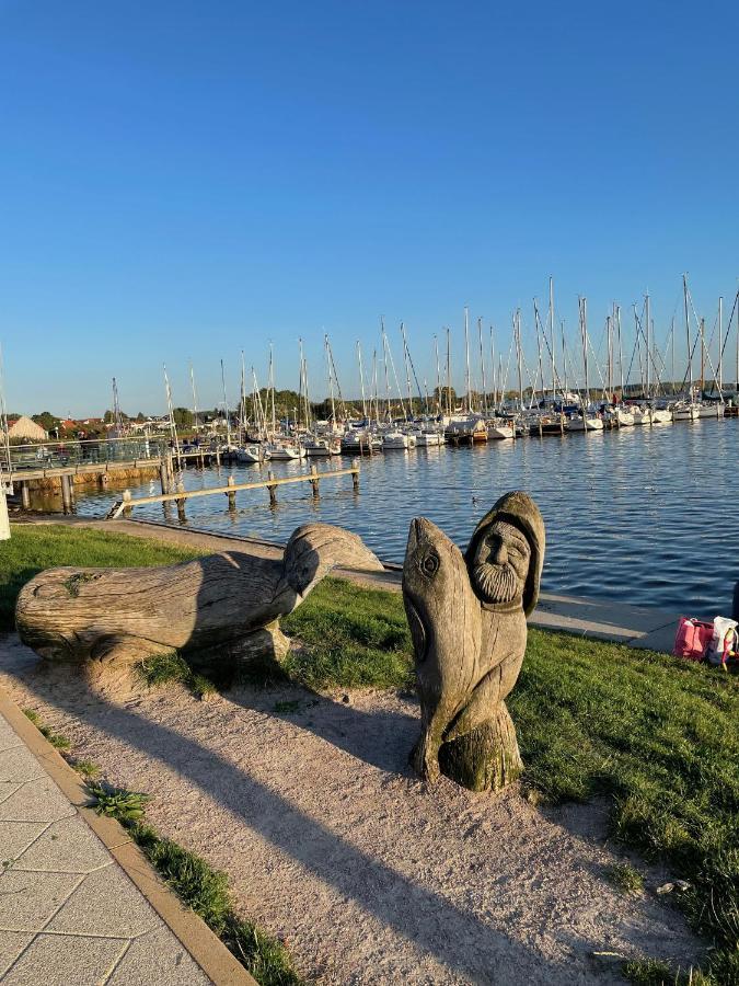 Top Ferienwohnung In Rerik - Nahe Salzhaff & Ostsee - Mit Gartenterrasse Eksteriør bilde